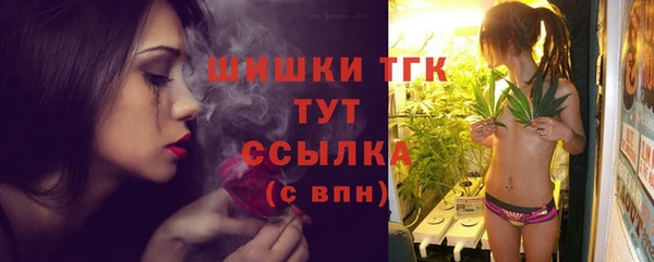 винт Вяземский