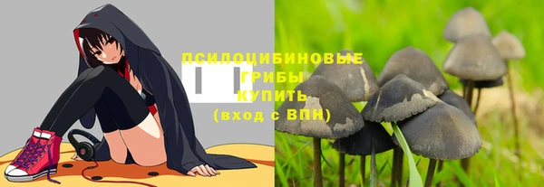 Альфа ПВП Вязьма
