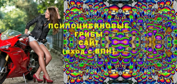 Альфа ПВП Вязьма