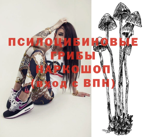 винт Вяземский