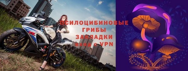 винт Вяземский